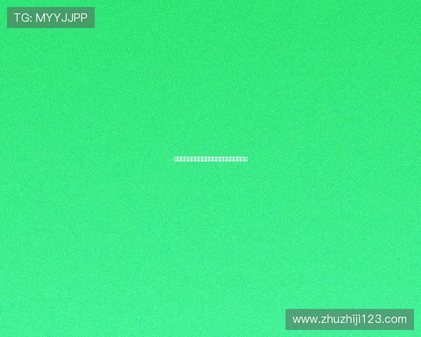 布伦瑞克队重回德甲巅峰之路：挑战与机遇并存