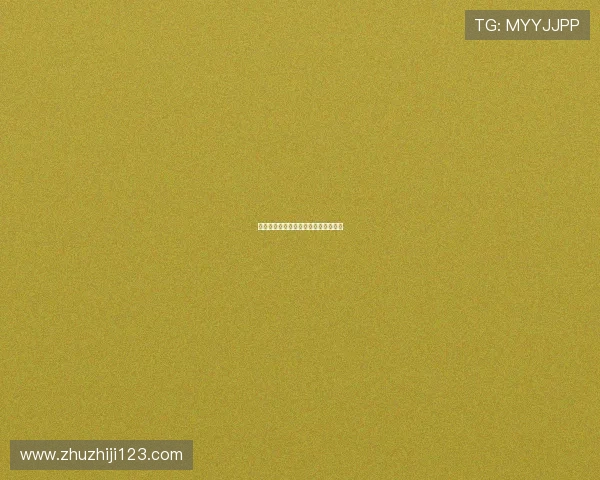 德甲创始队的辉煌历史与发展脉络探究